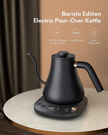 Electric Gooseneck Kettle Temperature Control