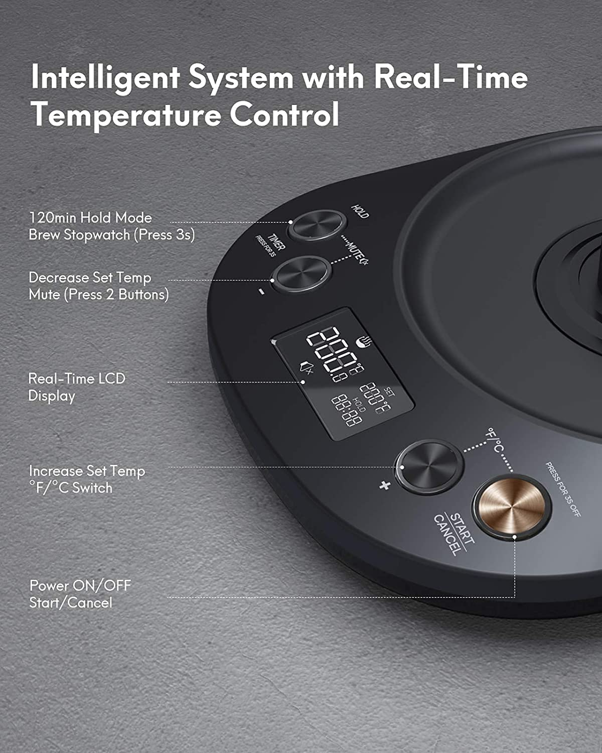 Electric Gooseneck Kettle Temperature Control